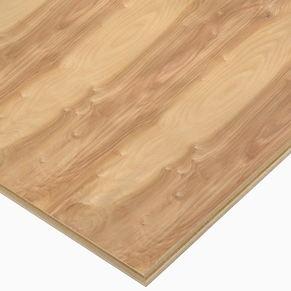 3/4in. X 2ft. X 4ft. Birch Plywood