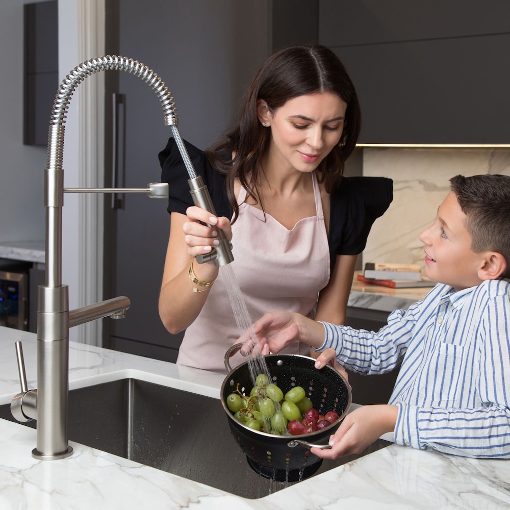 Single-Handle Spring Coil Kitchen Faucet with Sprayer and Pot Filler in Brushed Gold