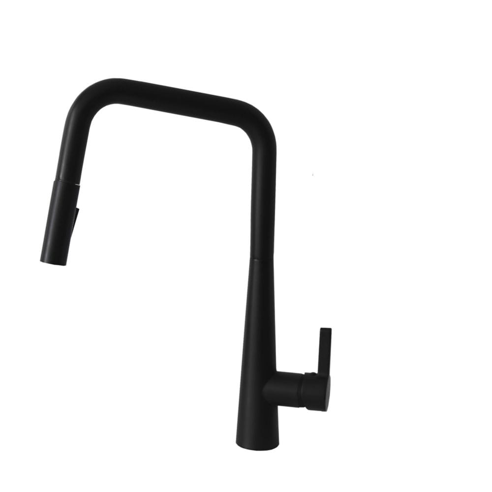 Single Handle  Pull down Sprayer  Kitchen Faucet in Stainless Steel Black