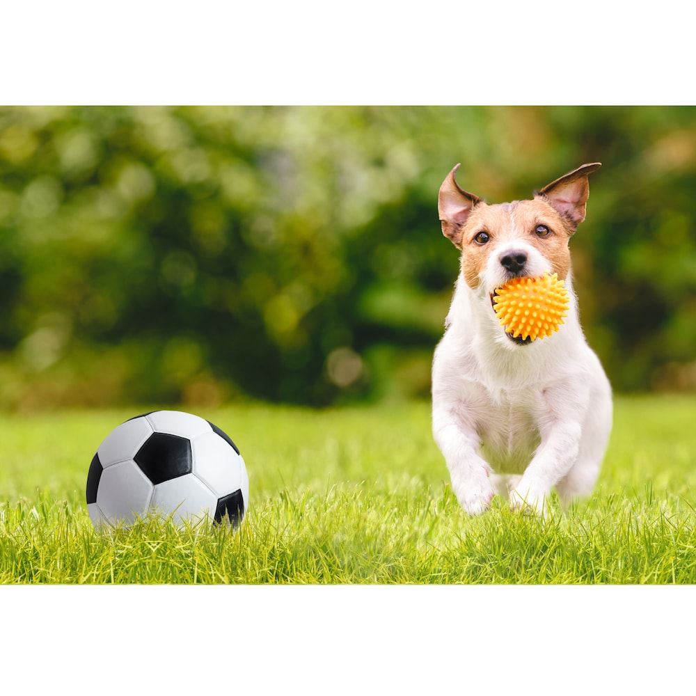 ARTIFICIAL LANDSCAPING GRASS 39 in x 39 in