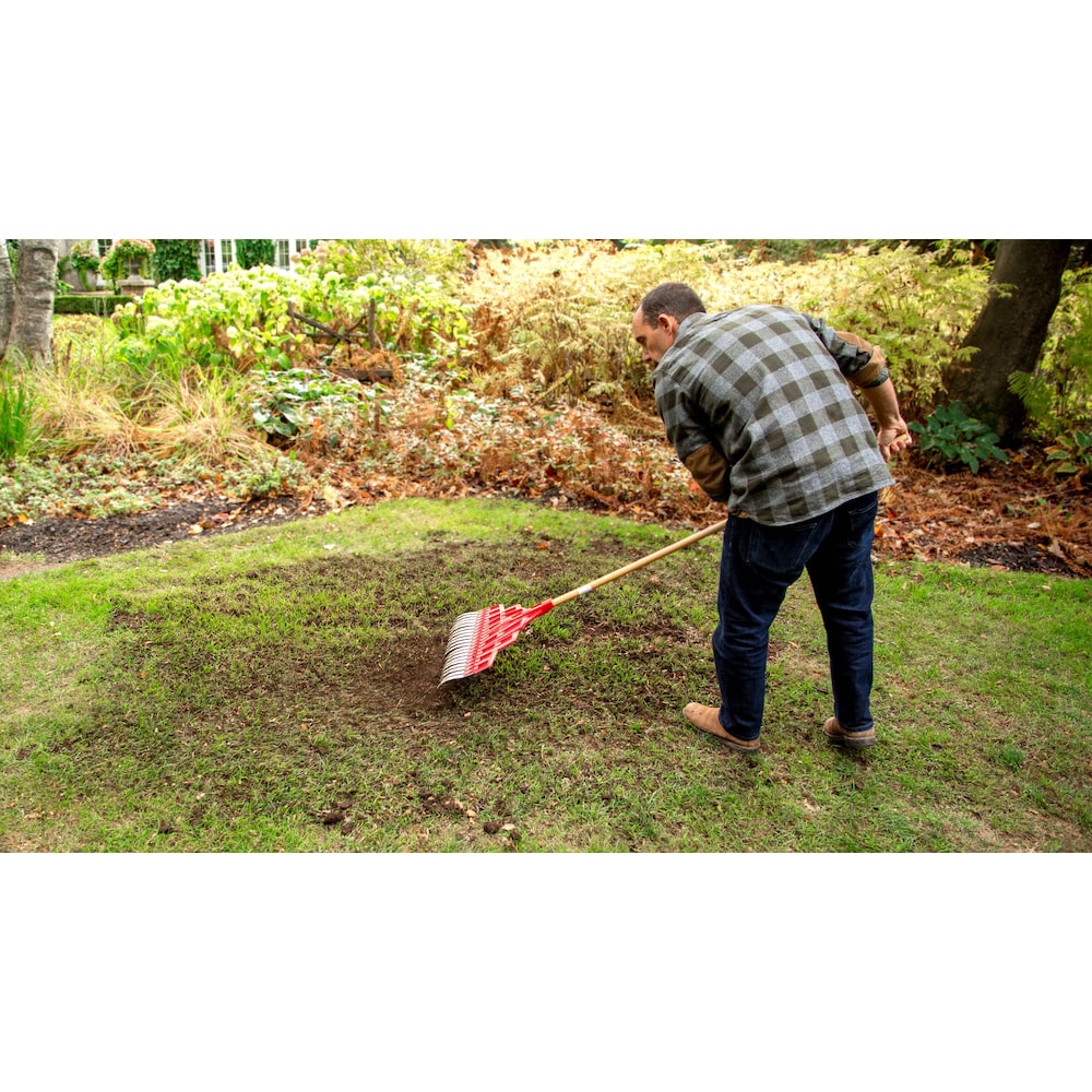 Turf Builder Quick + Thick Grass Seed Sunny Bluegrass Mix 12-0-0  - 1.2kg - 191m2 (2,066ft2)