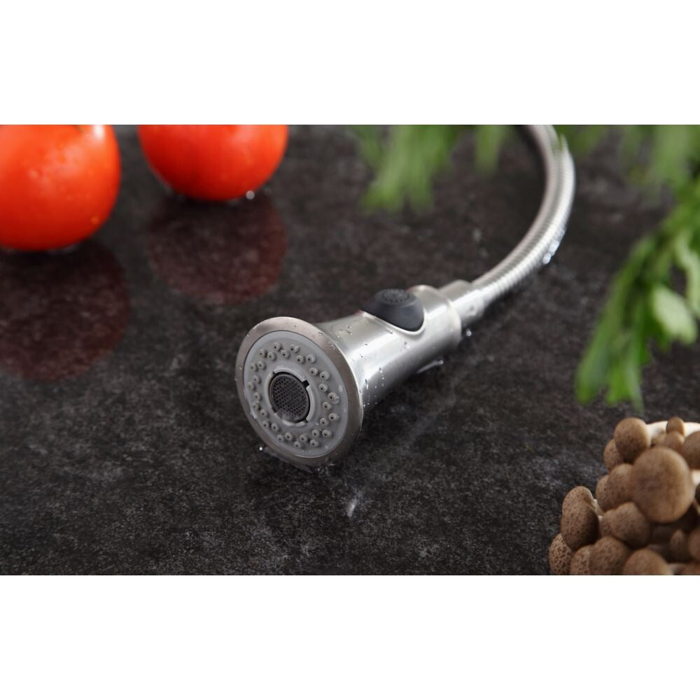 Robinet de cuisine standard à poignée unique Bastion en nickel brossé