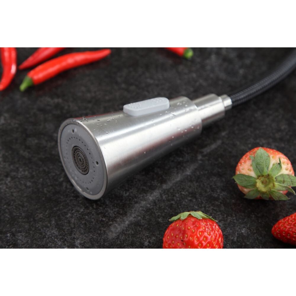 Robinet de cuisine standard à poignée unique Carriage en nickel brossé