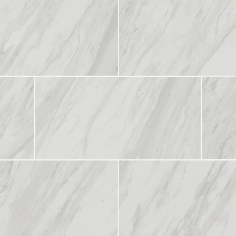 Samar Polished White 12-inch x 24-inch Porcelain Floor and Wall Tile