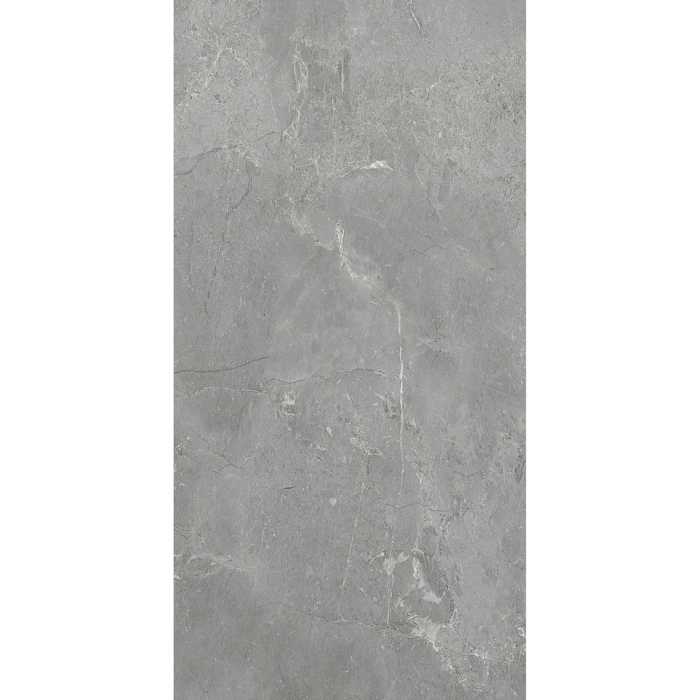 Dalhart Gray Revêtement de sol en carreaux de vinyle de luxe imperméables à encliquetage de 6,5 mm x 12 po de largeur x 23,82 po de longueur 12 MIL (23,82 pi2/caisse)