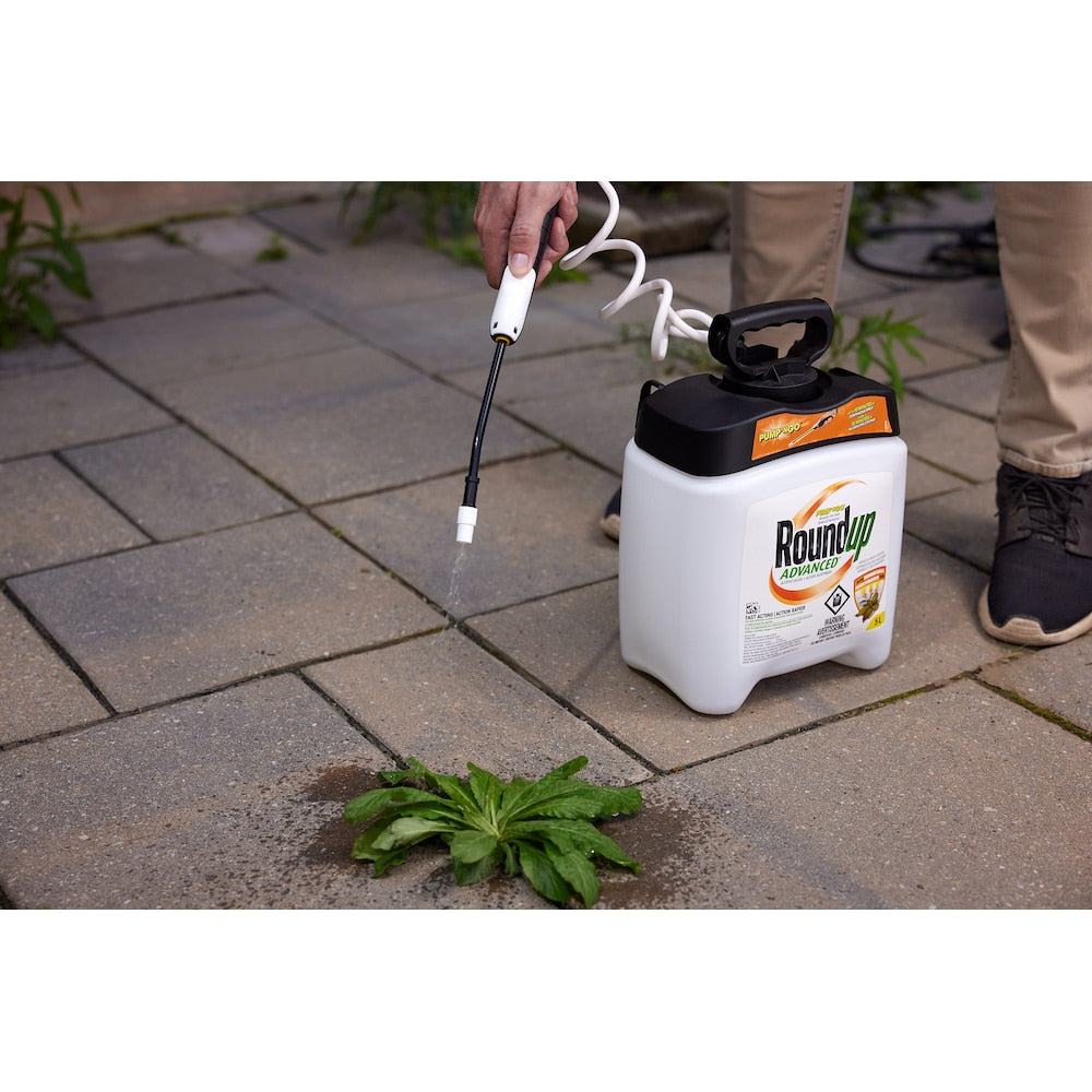 Advanced Grass and Weed Control Pump N Go 5L