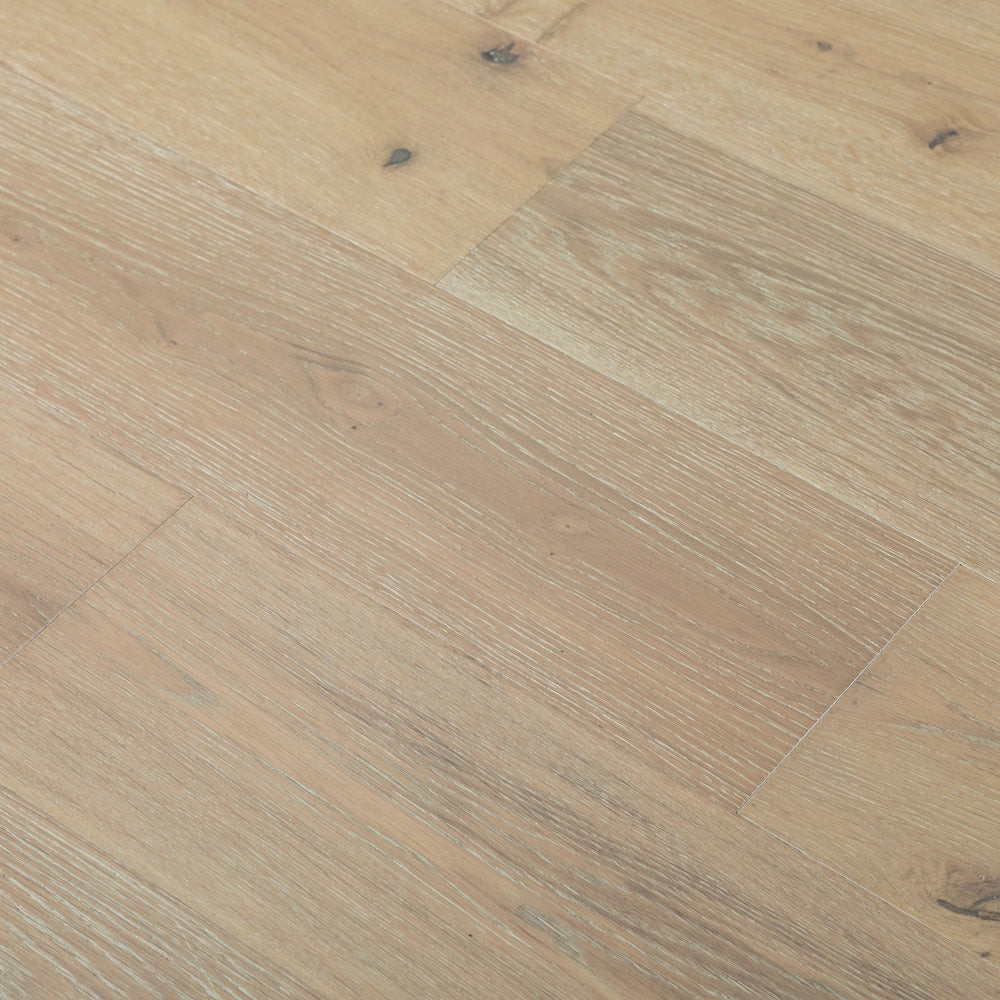 Sample-XXL French Oak Pearl 3/8-inch T x 7.5-inch W x 6-inch L Engineered Hardwood Flooring