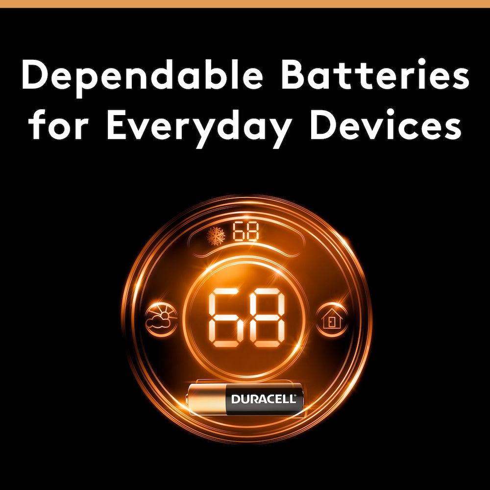 Coppertop D Battery, 4 Pack Alkaline D Batteries