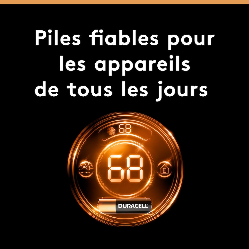 Coppertop D Battery, 4 Pack Alkaline D Batteries