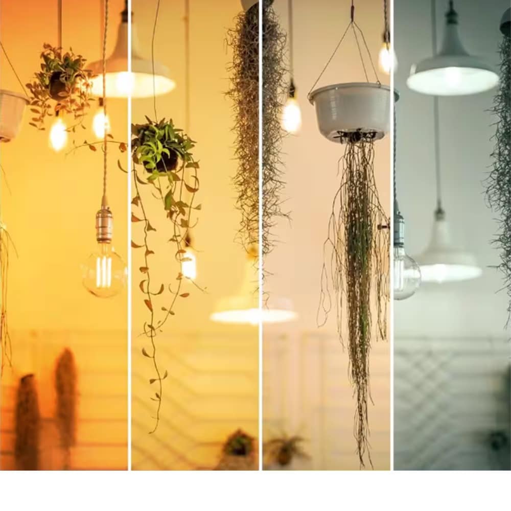 Ampoule LED à filament H Edison en verre ambré blanc chaud AT19 équivalente à 40 W