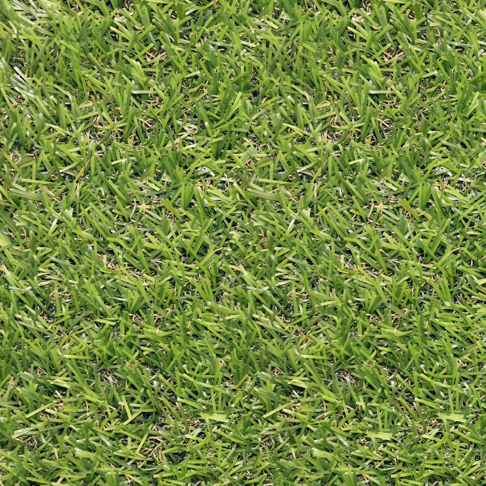 Tapis de gazon artificiel Zen pour intérieur/extérieur de 6 pi x 8 pi