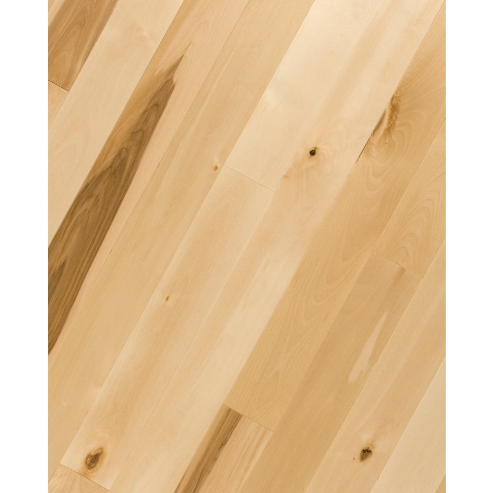 Sample Canadian Birch Hardwood Flooring 2.25 -inch x 6-inch