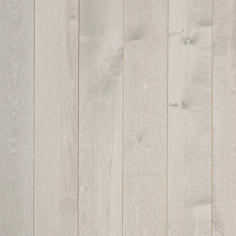 Sample Legacy Silver Birch Hardwood flooring 3.25-inch x 6-inch