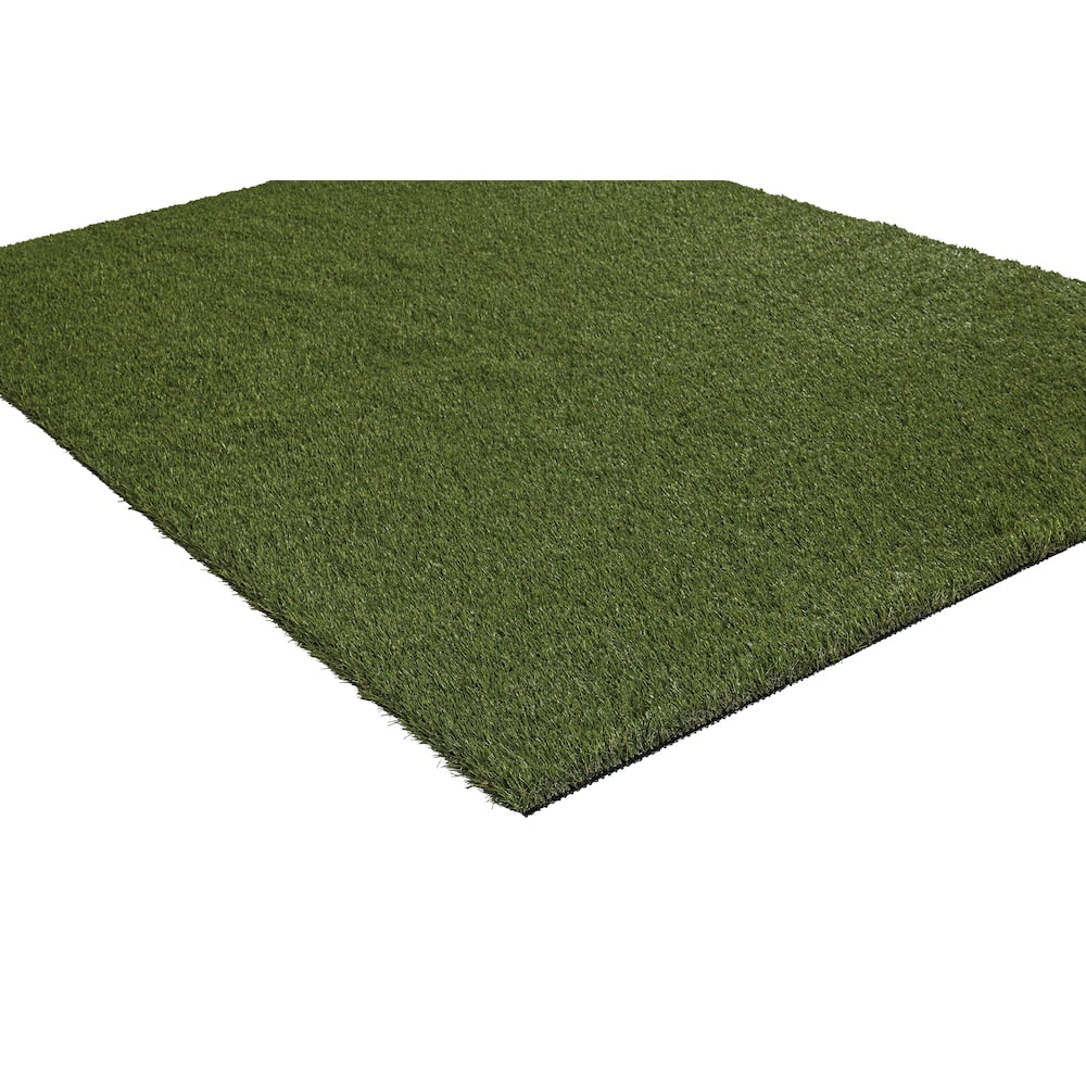 Soft Fescue 6 ft. 8 ft. Green Artificial Grass Rug