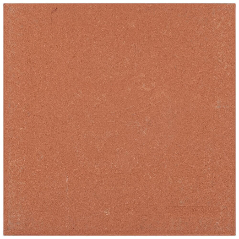 Carreaux muraux en céramique Trend Green de 7 7/8 po x 7 7/8 po (9,24 pi2/caisse)