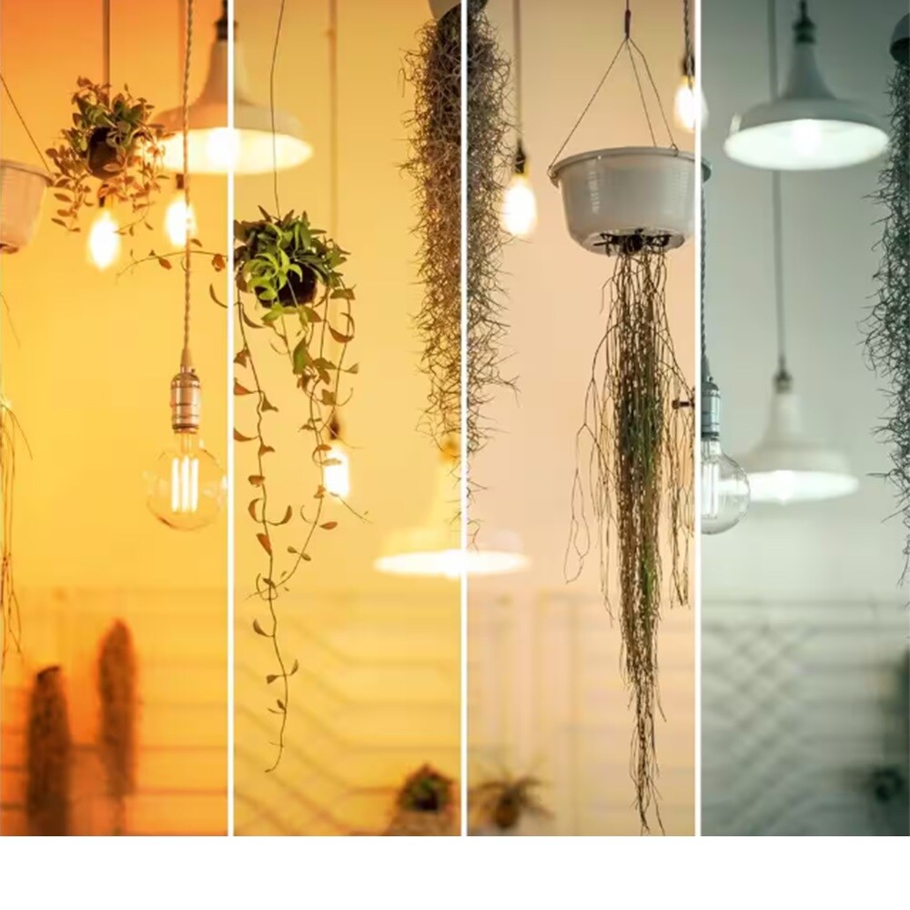 60-Watt Equiv ST19 Dimmable LED Amber Glass Vintage Edison Filament LED Light Bulb Daylight (16-Pack)