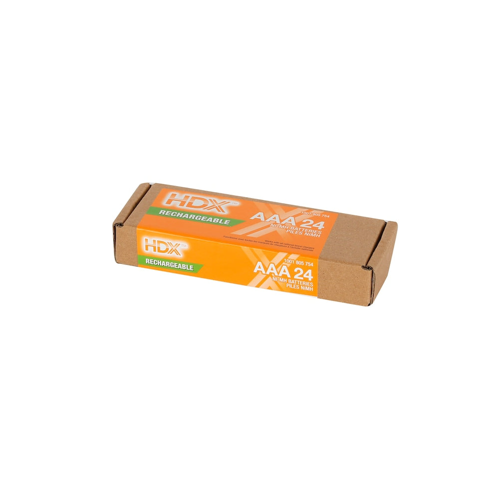 Piles AAA rechargeables (paquet de 24)