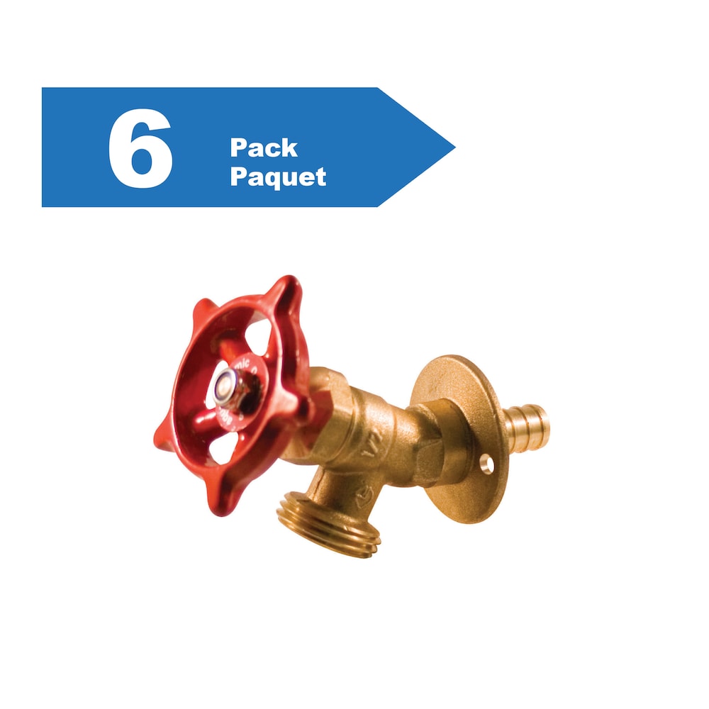Robinet de seuil multitours PEX 1/2 pouce, paquet de 6