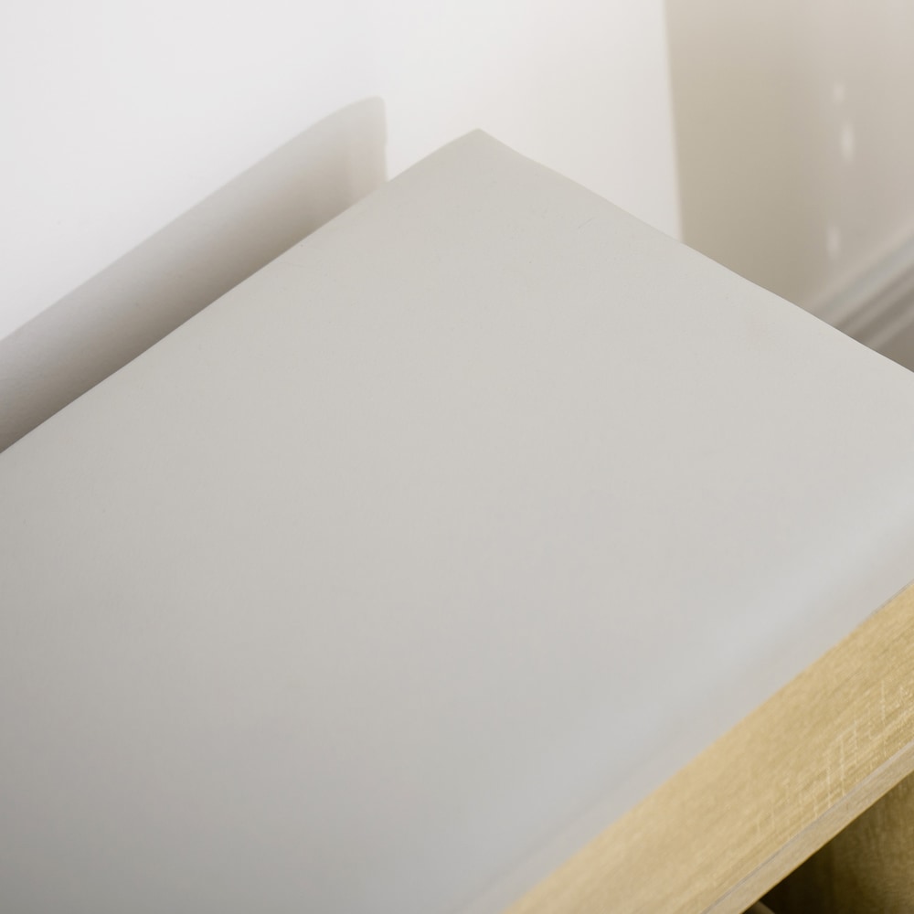 Banc à chaussures avec étagère à 2 niveaux et siège rembourré