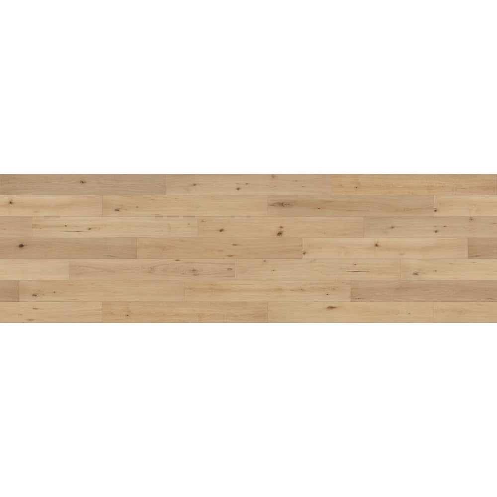 Sample Parchment White oak  Engineered Hardwood Flooring 6-inch x 6-inch