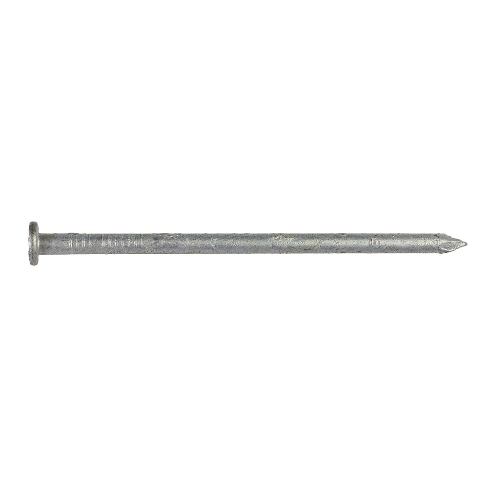 Clou connecteur à tige lisse Strong-Drive SCN 3-1/2 po x 0,162 po HDG (40 pièces)