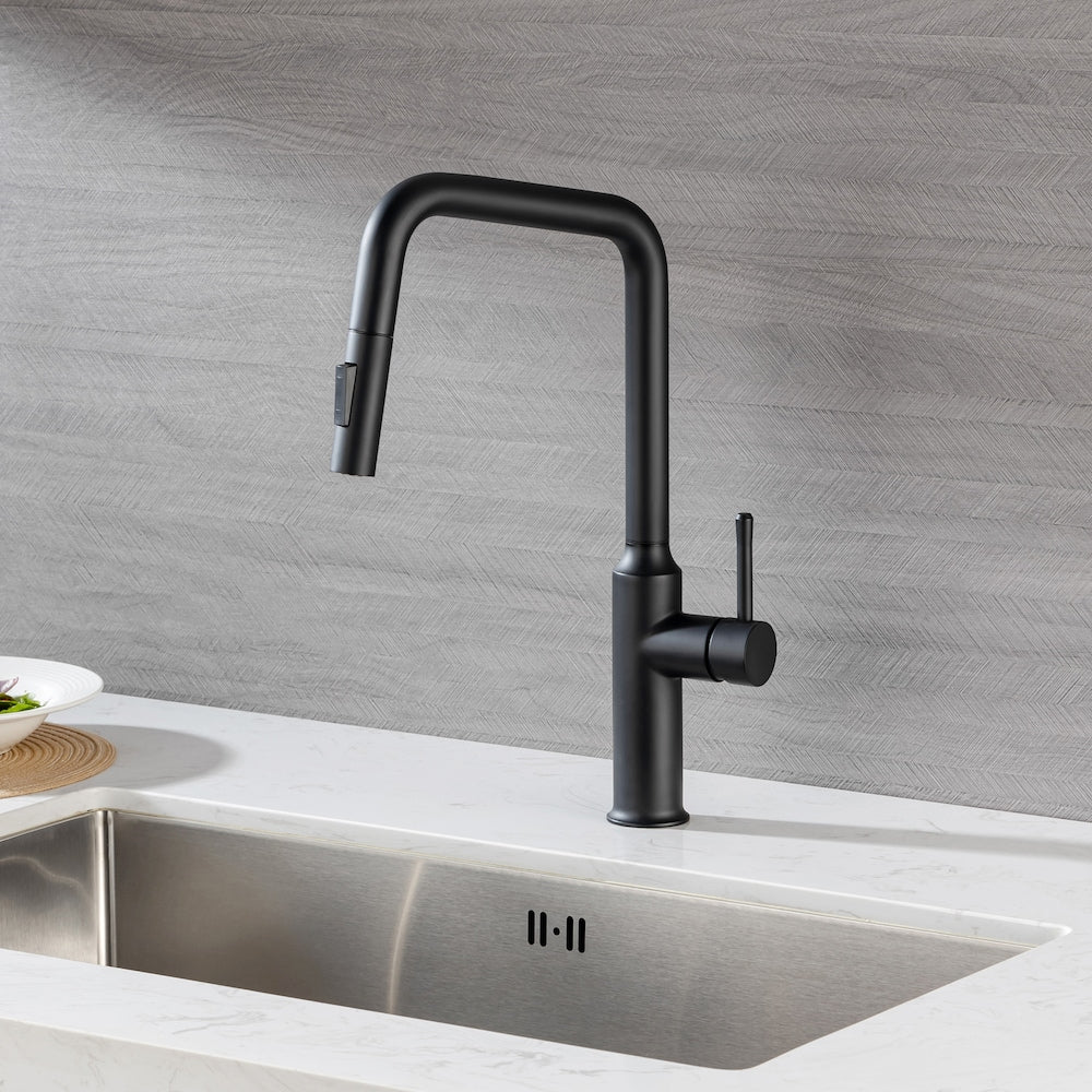 Robinet d'évier de cuisine à poignée unique avec douchette extractible et conduites d'alimentation en noir mat