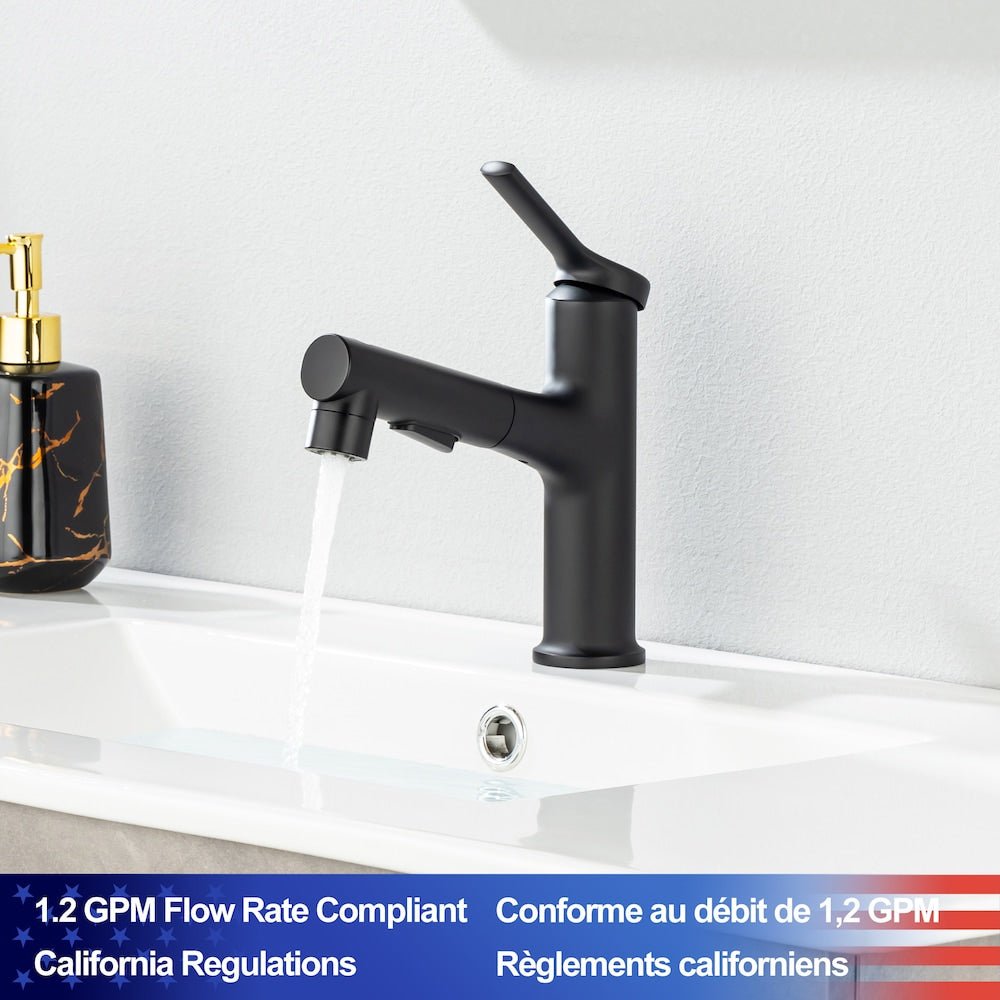 Robinet de lavabo de salle de bain à 1 poignée et extractible D2 avec conduite d'alimentation en eau en noir mat