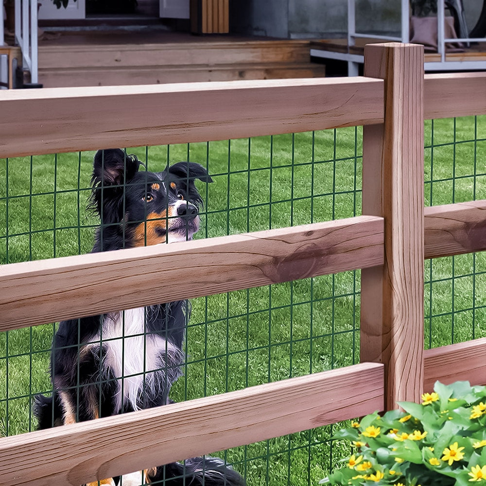 5 feet. x 50 feet. 16-Gauge Green PVC Coated Welded Wire Fence with Mesh Size 3 inch x 2 inch