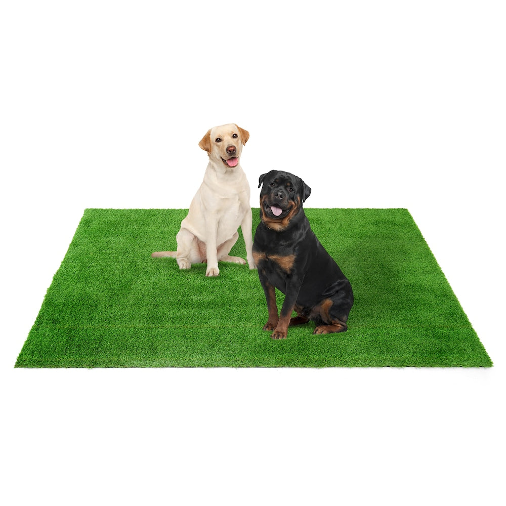 Tapis de gazon artificiel de 6 pi x 10 pi pour chiens de compagnie, intérieur et extérieur