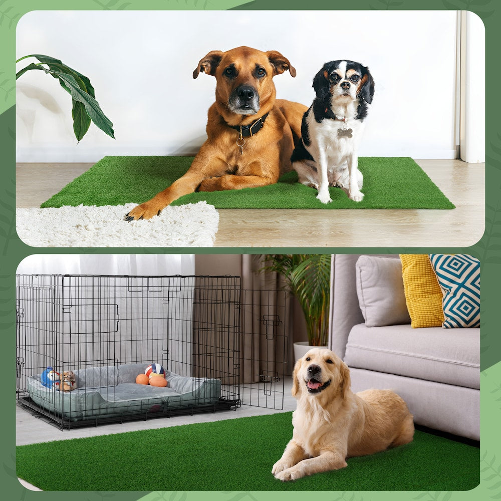Tapis de gazon artificiel de 6 pi x 10 pi pour chiens de compagnie, intérieur et extérieur