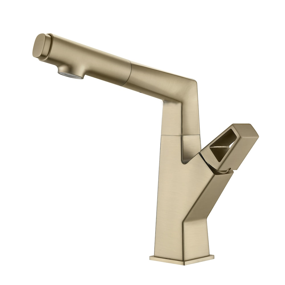 WBF2 Brushed Gold Single Hole Bathroom Sink Faucet with Single Handle and Pull Out Sprayer