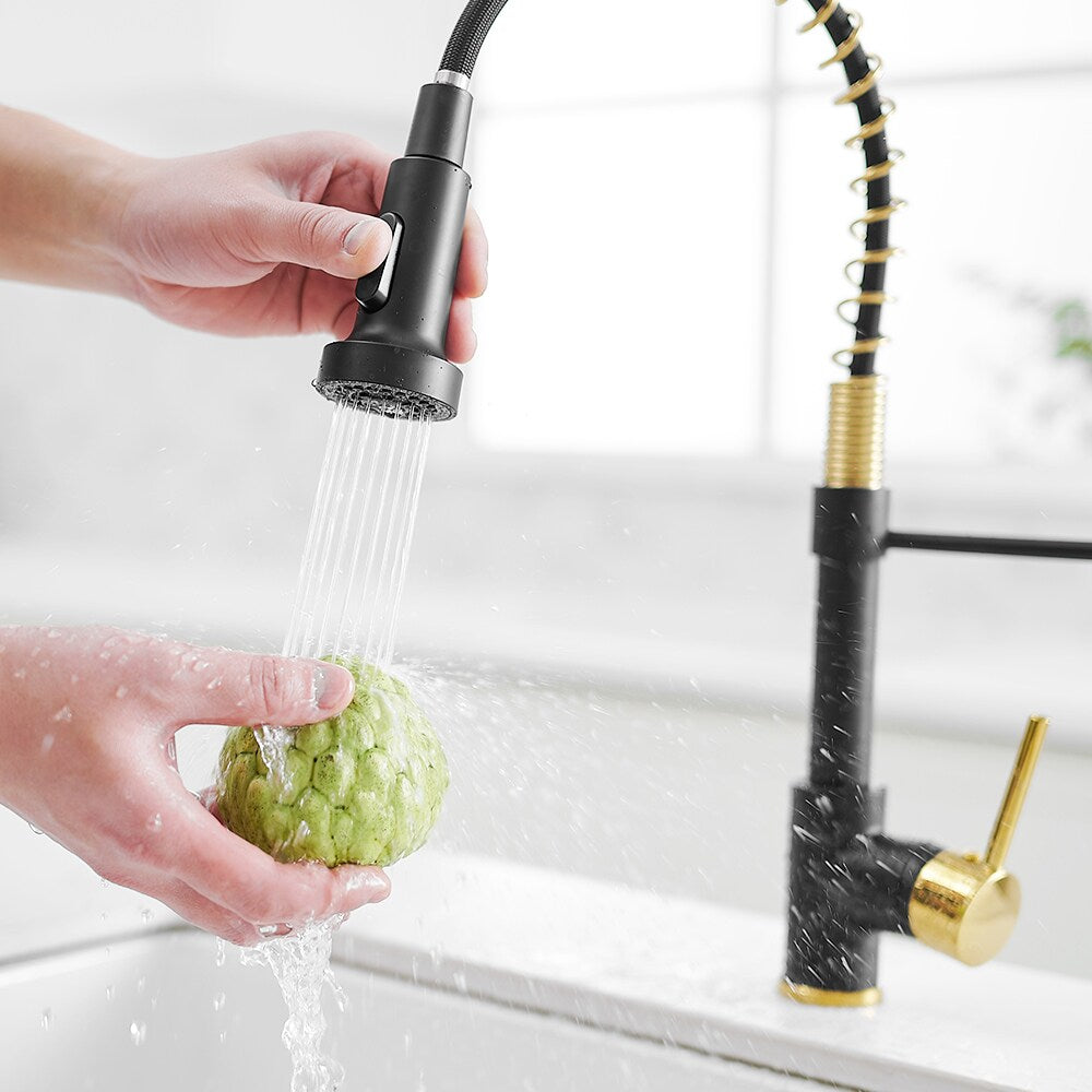 Zenith Single Handle Pull Down Kitchen Faucet in Gold and Black