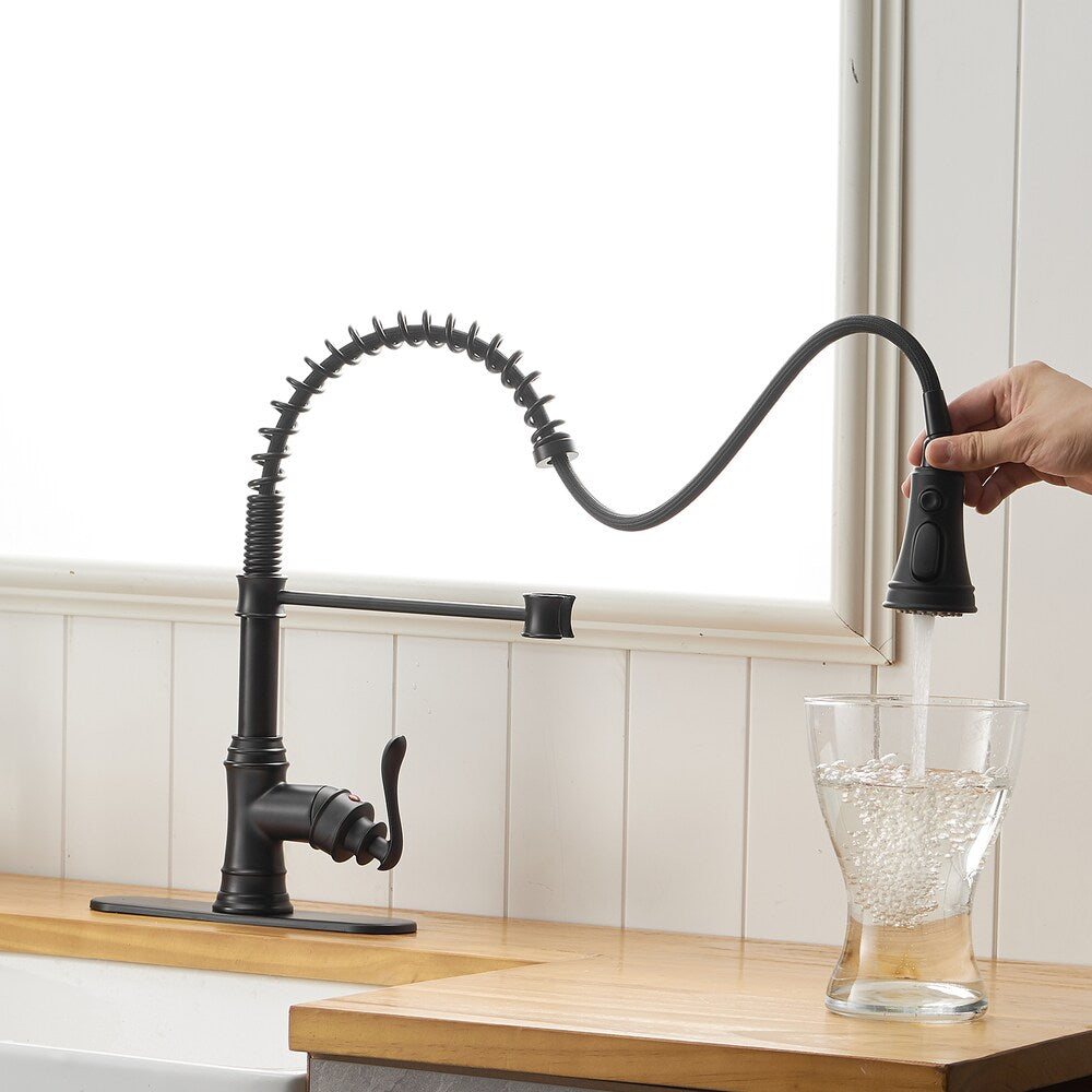 Pioneer Single-Handle Pull-Down Sprayer  3 Spray Kitchen Faucet in Matte Black